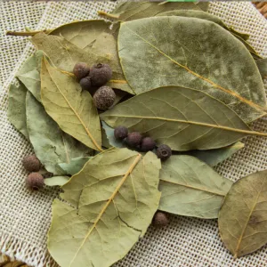 Bay Leaf
